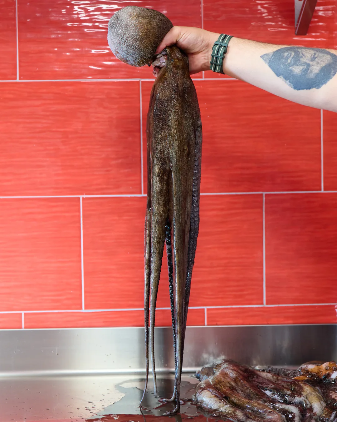 Pulpo fresco de la lonja de Estepona en la cocina de Casa Telégrafo